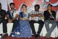 Alludu Seenu Movie Platinum Disc Function Photos