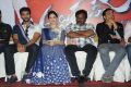 Alludu Seenu Movie Platinum Disc Function Photos