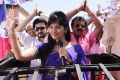 Alludu Singam Movie Actress Anjali Stills