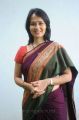 Beautiful Amala Akkineni in Saree Photos