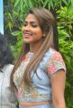 Tamil Actress Amala Paul New Pics