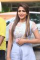 Tamil Actress Amala Paul New Pics