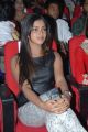 Actress Amala Paul Hot Stills at Iddarammayilatho Audio Release