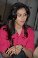 Actress Amala Paul Photos at Jenda Pai Kapiraju Press Meet
