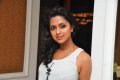 Amala Paul Latest Stills