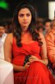 Amala Paul Hot Photos At Naayak Audio Release