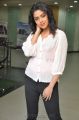 Actress Amala Paul at Naayak Movie Press Meet Photos