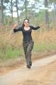 Amala Paul Hot Pics in Black Dress @ Iddarammayilatho Movie