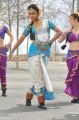 Iddarammayilatho Amala Paul Stills in White Traditional Saree