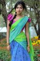 Iddarammayilatho Actress Amala Paul Hot Pics in Colorful Half Saree