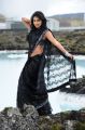Actress Amala Paul Hot Saree Photos in Nayak Movie