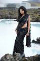 Amala Paul Hot Black Saree Photos in Nayak Movie
