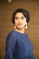 Actress Amala Paul Images @ Rakshasudu Success Meet