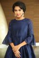 Actress Amala Paul Images @ Rakshasudu Movie Success Meet