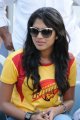 Amala Paul in Celebrity Cricket League
