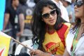 Amala Paul in Celebrity Cricket League