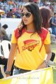 Amala Paul in Celebrity Cricket League