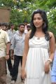 Telugu Actress Amala Paul at Janda Pai Kapiraju Telugu Movie Launch