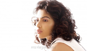 Tamil Actress Amala Paul Latest Photoshoot Gallery