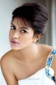 Actress Amala Paul Latest Hot Photoshoot Images