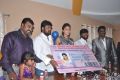 Amala Paul launches Benze Vaccations Club at Begumpet, Hyderabad