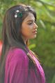 Iddarammayilatho Actress Amala Paul Stills in Pink Dress