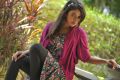 Actress Amala Paul Stills in Pink Dress from Iddarammayilatho