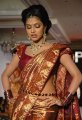 Amala Paul in Saree @ Palam Silks Fashion Show