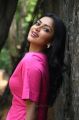 Actress Amala Paul Recent Pictures HD @ Ratchasan Success Meet