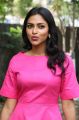 Actress Amala Paul Recent Pictures HD @ Raatchasan Success Meet