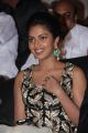 Actress Amala Paul in Thalaivaa Audio Launch Stills