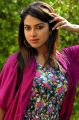 Iddarammayilatho Amala Paul Trendy Photo Shoot Stills