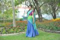 Amala Paul Wallpapers in Saree @ Iddarammayilatho