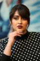 Amar Akbar Anthony Heroine Ileana Interview Photos HD