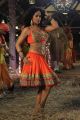 actress Mumaith Khan in Amavasai Movie Hot Stills