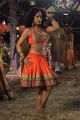 actress Mumaith Khan in Amavasai Movie Hot Stills