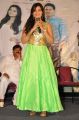 Actress Ashwini @ Ameerpet Lo Movie Audio Success Meet Stills