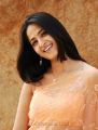 Actress Anushka in America to Aminjikarai Tamil Movie Stills
