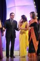 Gorgeous Ameesha Patel in Saree Photos at TSR TV9 Awards