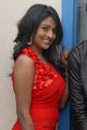 Telugu Actress Amitha Rao Hot Photos at Chemistry Audio Launch