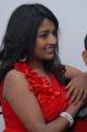 Actress Amitha Rao Hot Photos at Chemistry Audio Release
