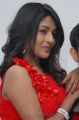 Actress Amitha Rao Hot Photos at Chemistry Audio Release