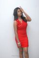 Actress Amitha Rao Hot Photos at Chemistry Audio Release Function