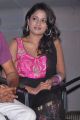 Actress Amitha Rao Photos @ First Love Audio Release