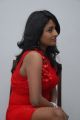 Actress Amitha Rao Hot Photos in Red Dress