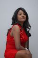 Telugu Actress Amitha Rao Hot Photos in Red Dress