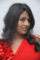 Telugu Actress Amitha Rao in Red Dress Hot Photos