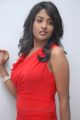 Actress Amitha Rao Hot Photos in Red Dress