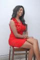 Telugu Actress Amitha Rao in Red Dress Hot Photos