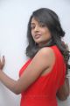 Chemistry Actress Amitha Rao Hot Photos in Red Dress